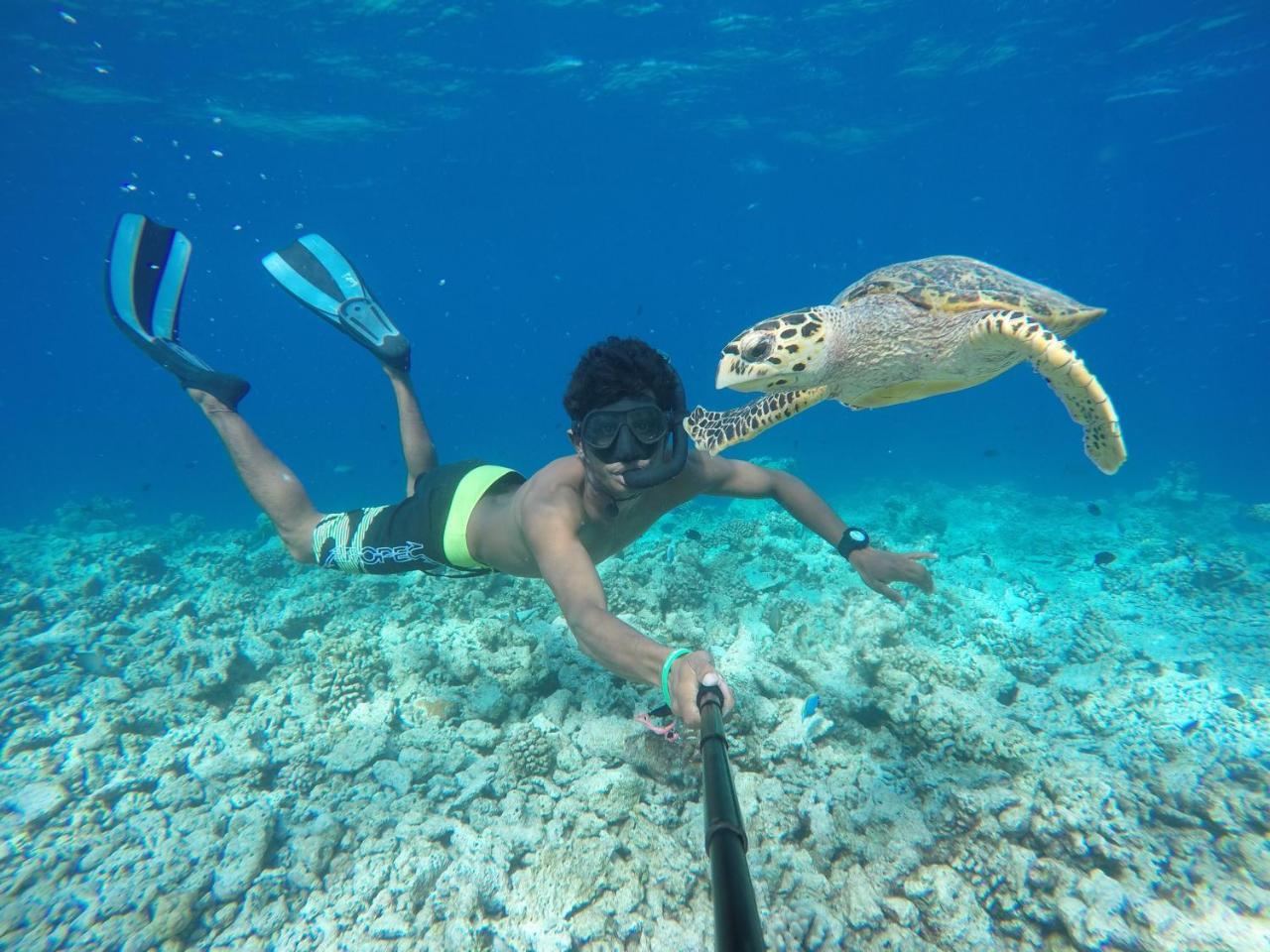 Koimala Beach Ukulhas エクステリア 写真