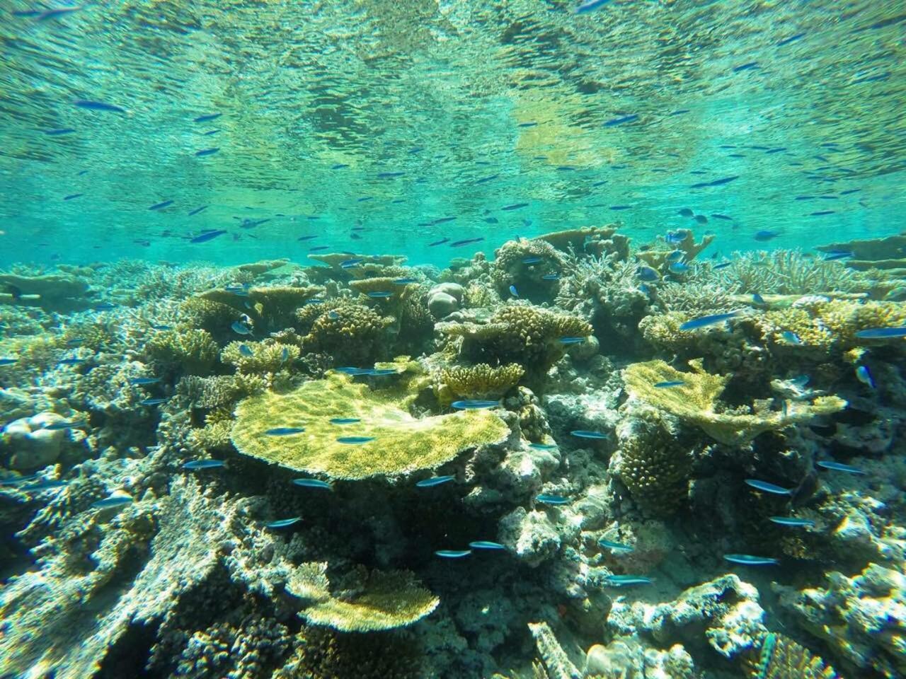 Koimala Beach Ukulhas エクステリア 写真