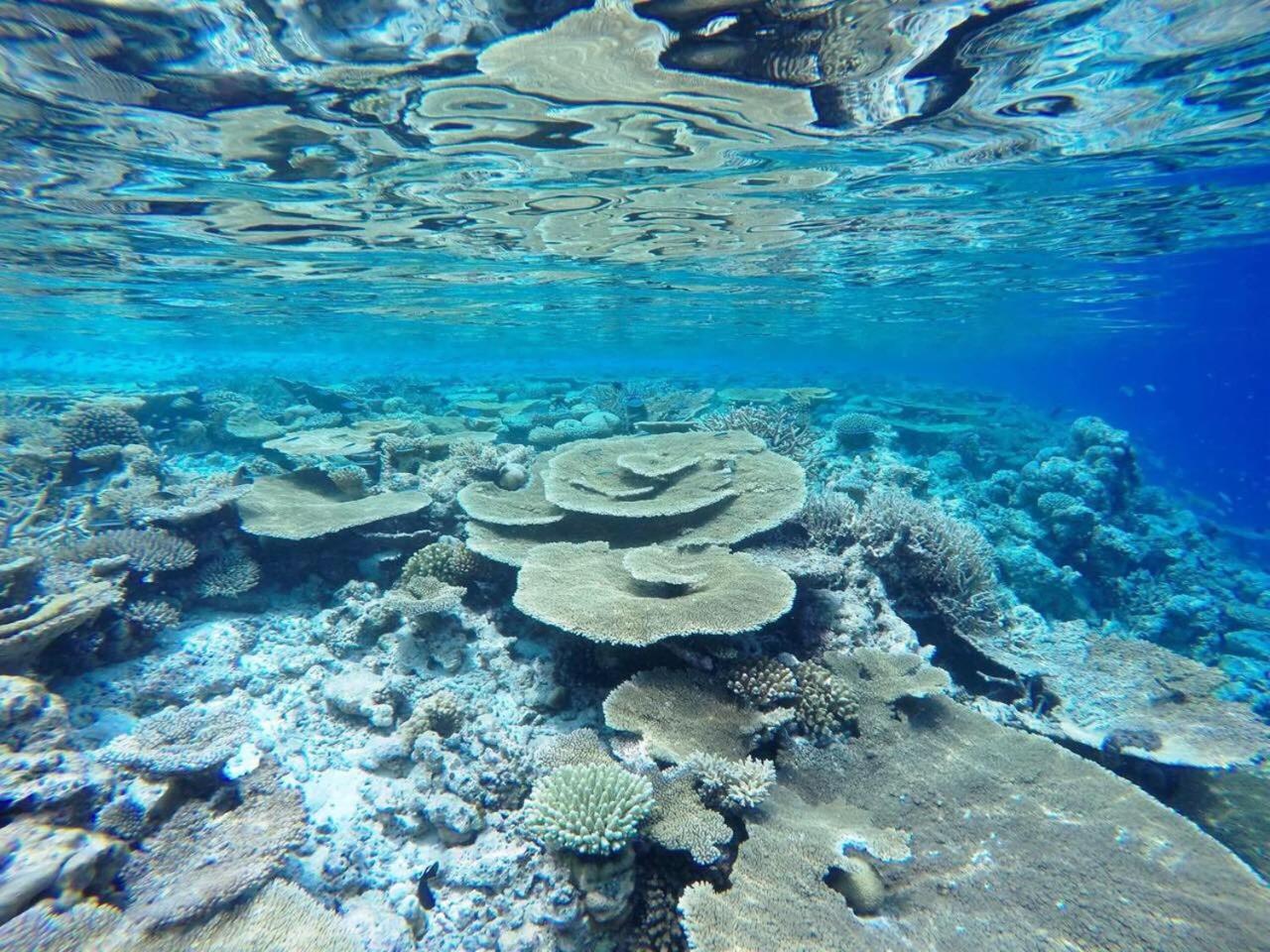 Koimala Beach Ukulhas エクステリア 写真